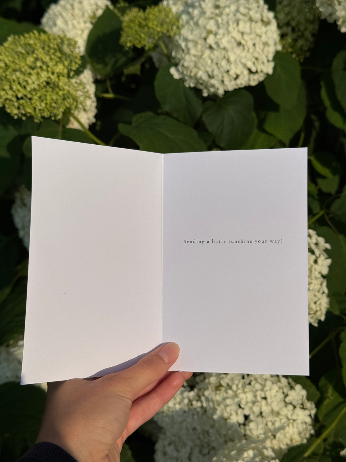 Freshwater Study Blank Card