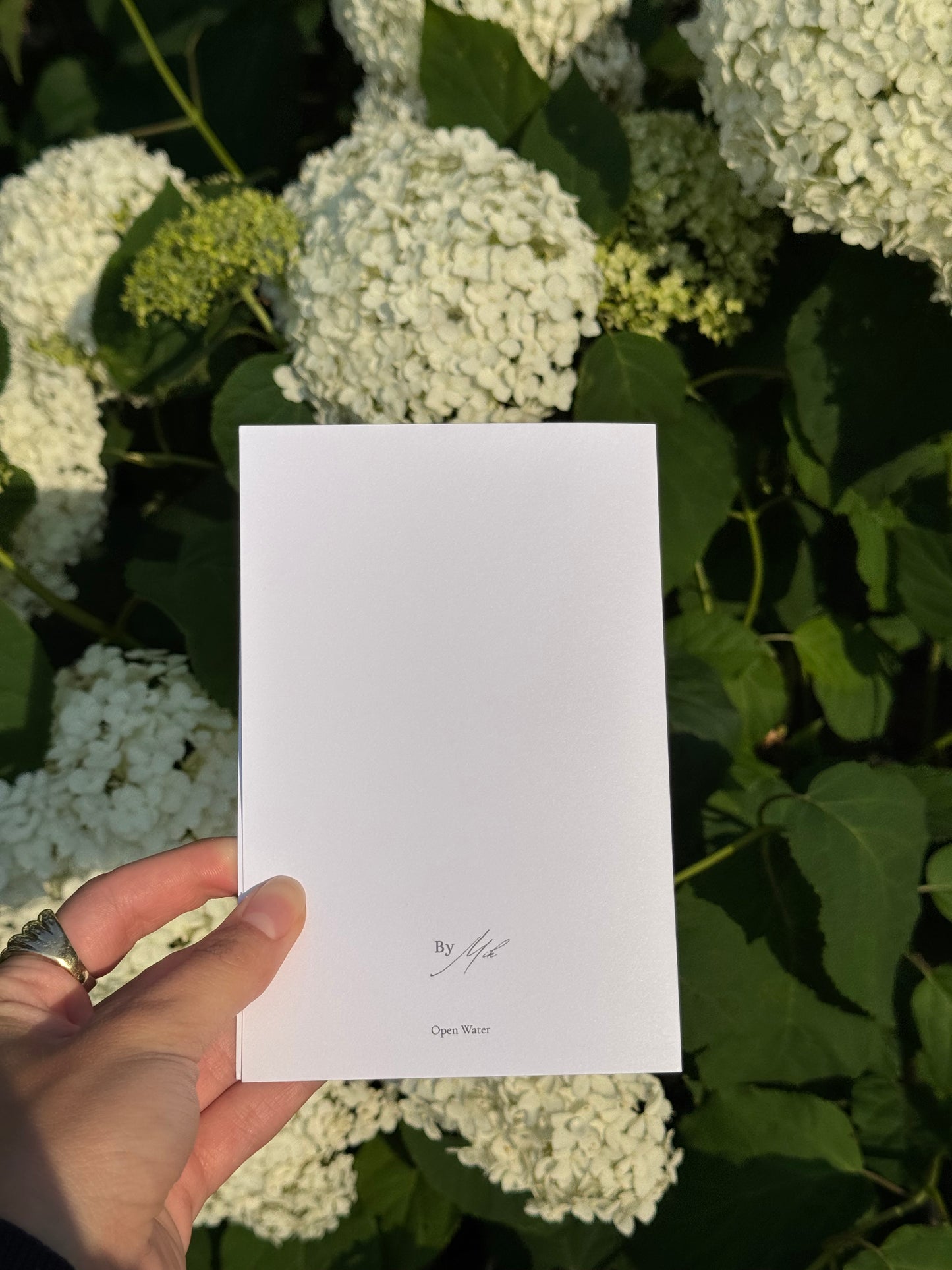 Open Water Blank Card