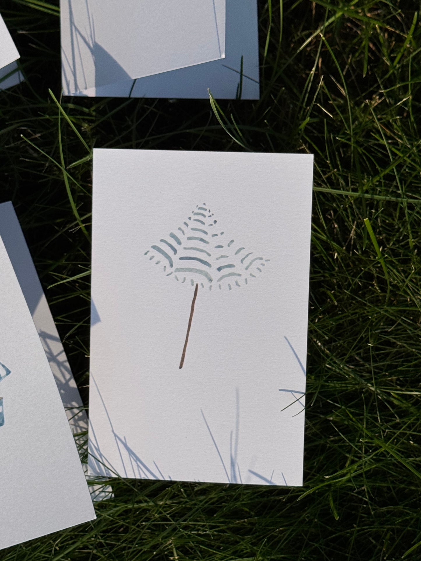 Quiet Shade Blank Card