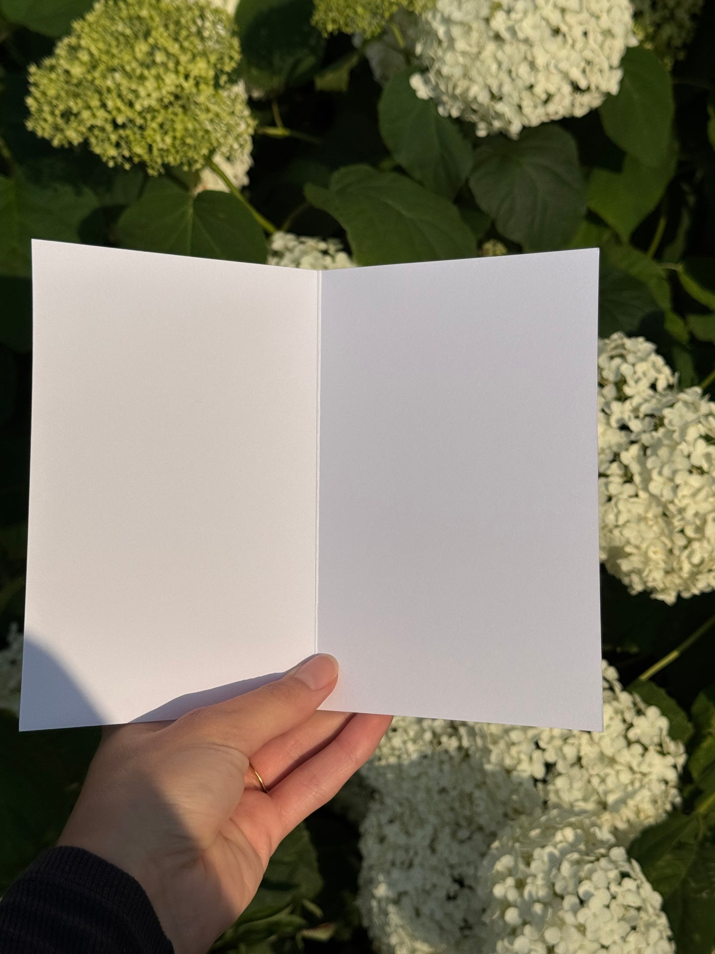 Open Water Blank Card