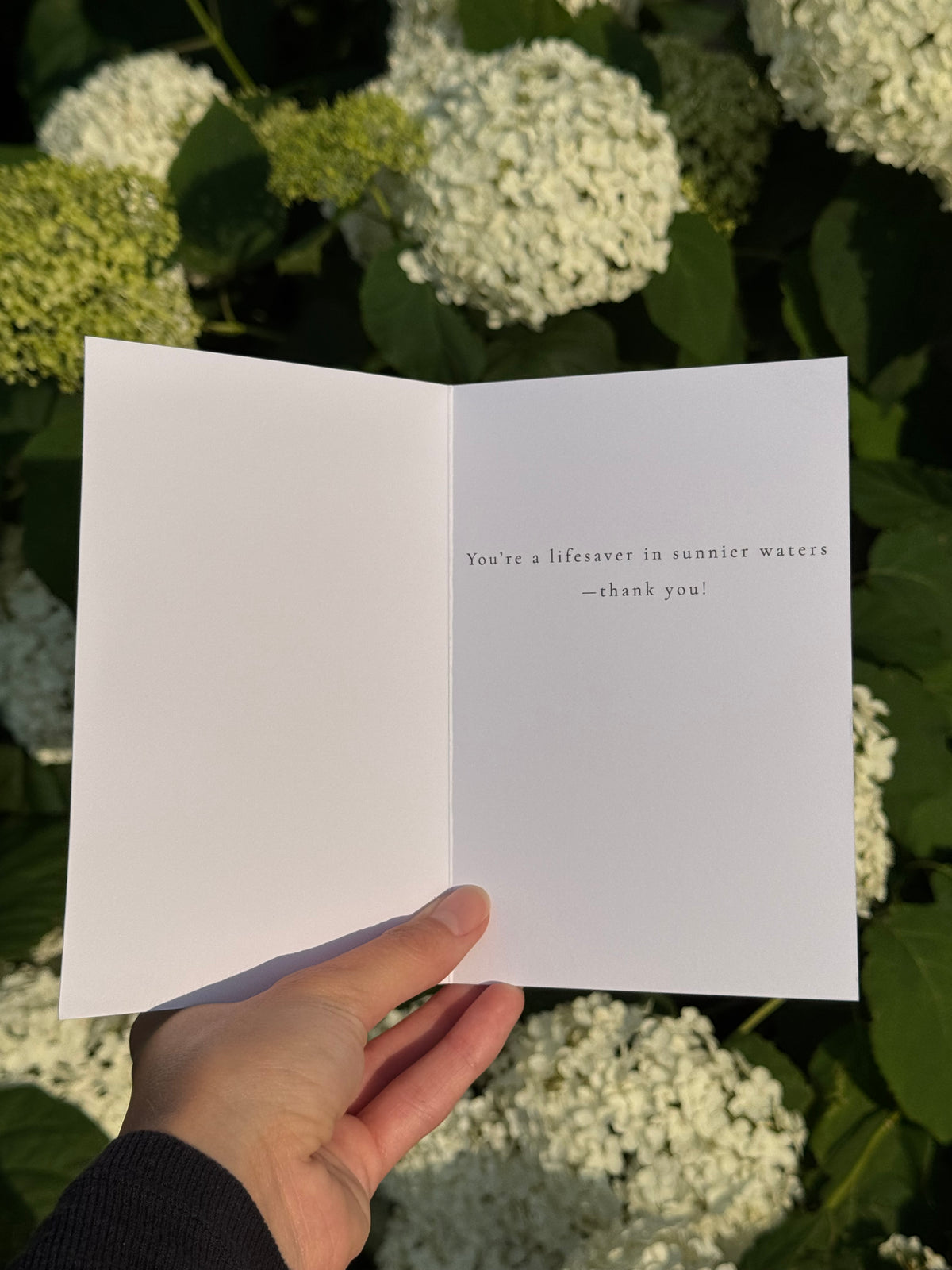 Lifesaver Note Card