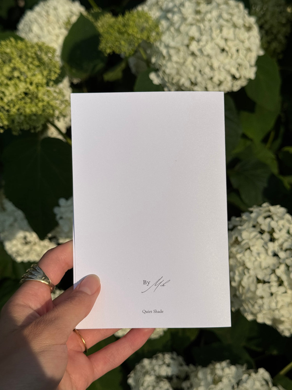 Quiet Shade Blank Card